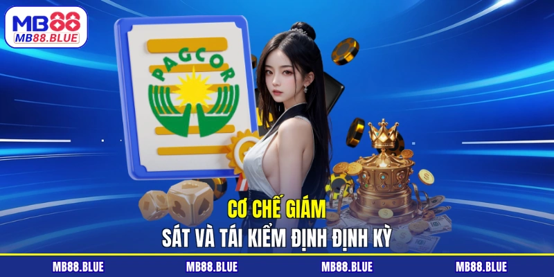 Cơ chế giám sát và tái kiểm định định kỳ