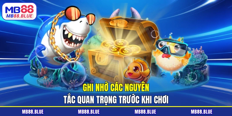 Ghi nhớ các nguyên tắc quan trọng trước khi chơi