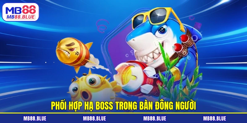 Phối hợp hạ boss trong bàn đông người